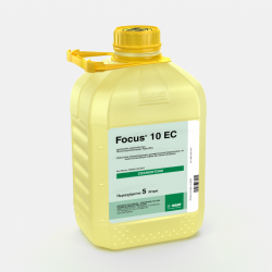 FOCUS 10 EC 5 Λίτρα FOCUS 10 EC 5 Λίτρα