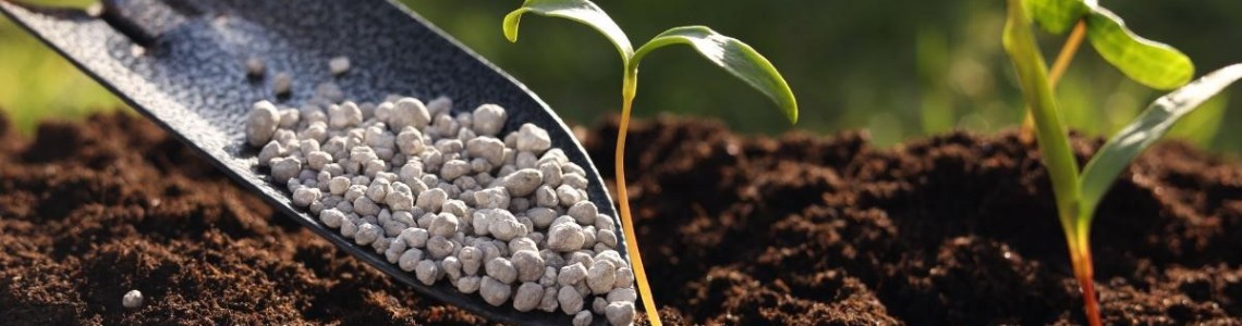 ΘΡΕΨΗ ΘΡΕΨΗ